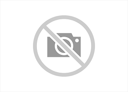 INTERRUTTORE ALZACRISTALLO PEG 106-SAXO AN601